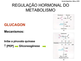 Nereide Magalhães, DBioq, UFPE



      REGULAÇÃO HORMONAL DO
           METABOLISMO


GLUCAGON
Mecanismos:


Inibe a piruvato quinase
 [PEP]    Gliconeogênese
 