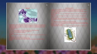 Pdf images