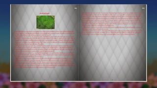Pdf images