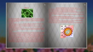 Pdf images