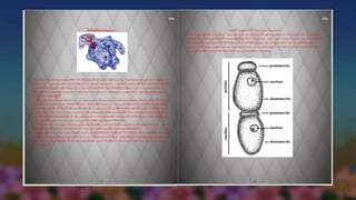 Pdf images