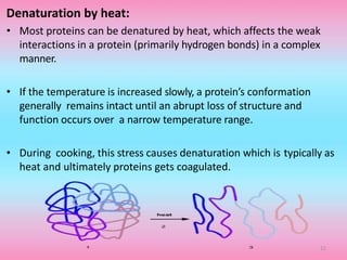 Denaturation by heat:
• Most proteins can be denatured by heat, which affects the weak
interactions in a protein (primarily hydrogen bonds) in a complex
manner.
• If the temperature is increased slowly, a protein’s conformation
generally remains intact until an abrupt loss of structure and
function occurs over a narrow temperature range.
• During cooking, this stress causes denaturation which is typically as
heat and ultimately proteins gets coagulated.
11
 