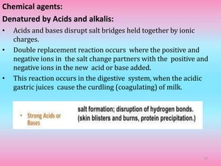 Chemical agents:
Denatured by Acids and alkalis:
• Acids and bases disrupt salt bridges held together by ionic
charges.
• Double replacement reaction occurs where the positive and
negative ions in the salt change partners with the positive and
negative ions in the new acid or base added.
• This reaction occurs in the digestive system, when the acidic
gastric juices cause the curdling (coagulating) of milk.
17
 
