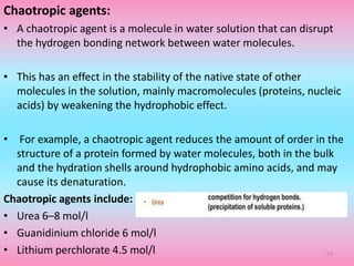 Chaotropic agents:
• A chaotropic agent is a molecule in water solution that can disrupt
the hydrogen bonding network between water molecules.
• This has an effect in the stability of the native state of other
molecules in the solution, mainly macromolecules (proteins, nucleic
acids) by weakening the hydrophobic effect.
• For example, a chaotropic agent reduces the amount of order in the
structure of a protein formed by water molecules, both in the bulk
and the hydration shells around hydrophobic amino acids, and may
cause its denaturation.
Chaotropic agents include:
• Urea 6–8 mol/l
• Guanidinium chloride 6 mol/l
• Lithium perchlorate 4.5 mol/l 23
 