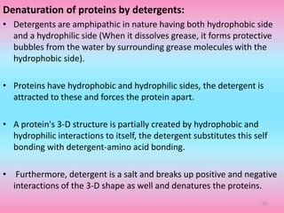 Denaturation of proteins by detergents:
• Detergents are amphipathic in nature having both hydrophobic side
and a hydrophilic side (When it dissolves grease, it forms protective
bubbles from the water by surrounding grease molecules with the
hydrophobic side).
• Proteins have hydrophobic and hydrophilic sides, the detergent is
attracted to these and forces the protein apart.
• A protein's 3-D structure is partially created by hydrophobic and
hydrophilic interactions to itself, the detergent substitutes this self
bonding with detergent-amino acid bonding.
• Furthermore, detergent is a salt and breaks up positive and negative
interactions of the 3-D shape as well and denatures the proteins.
25
 