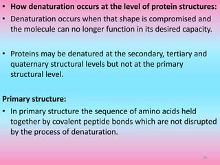 • How denaturation occurs at the level of protein structures:
• Denaturation occurs when that shape is compromised and
the molecule can no longer function in its desired capacity.
• Proteins may be denatured at the secondary, tertiary and
quaternary structural levels but not at the primary
structural level.
Primary structure:
• In primary structure the sequence of amino acids held
together by covalent peptide bonds which are not disrupted
by the process of denaturation.
28
 