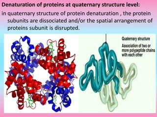 Denaturation of proteins at quaternary structure level:
in quaternary structure of protein denaturation , the protein
subunits are dissociated and/or the spatial arrangement of
proteins subunit is disrupted.
33
 
