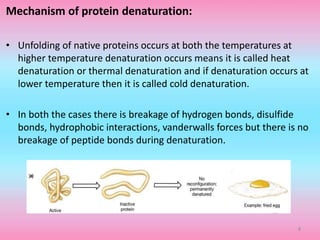 Mechanism of protein denaturation:
• Unfolding of native proteins occurs at both the temperatures at
higher temperature denaturation occurs means it is called heat
denaturation or thermal denaturation and if denaturation occurs at
lower temperature then it is called cold denaturation.
• In both the cases there is breakage of hydrogen bonds, disulfide
bonds, hydrophobic interactions, vanderwalls forces but there is no
breakage of peptide bonds during denaturation.
8
 