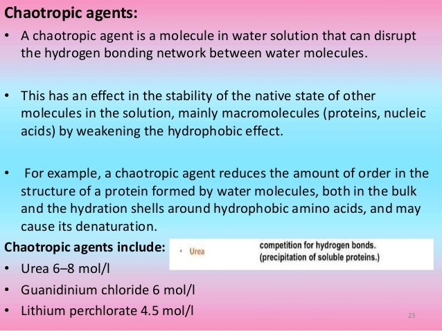 Protein Denaturation Protein Denaturation