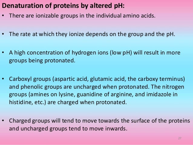 Protein Denaturation Protein Denaturation