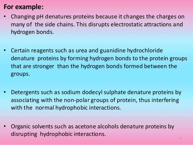 Protein Denaturation Protein Denaturation