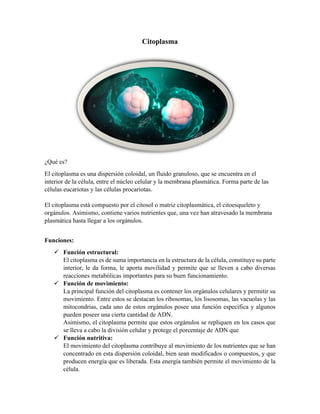 Citoplasma
¿Qué es?
El citoplasma es una dispersión coloidal, un fluido granuloso, que se encuentra en el
interior de la célula, entre el núcleo celular y la membrana plasmática. Forma parte de las
células eucariotas y las células procariotas.
El citoplasma está compuesto por el citosol o matriz citoplasmática, el citoesqueleto y
orgánulos. Asimismo, contiene varios nutrientes que, una vez han atravesado la membrana
plasmática hasta llegar a los orgánulos.
Funciones:
✓ Función estructural:
El citoplasma es de suma importancia en la estructura de la célula, constituye su parte
interior, le da forma, le aporta movilidad y permite que se lleven a cabo diversas
reacciones metabólicas importantes para su buen funcionamiento.
✓ Función de movimiento:
La principal función del citoplasma es contener los orgánulos celulares y permitir su
movimiento. Entre estos se destacan los ribosomas, los lisosomas, las vacuolas y las
mitocondrias, cada uno de estos orgánulos posee una función específica y algunos
pueden poseer una cierta cantidad de ADN.
Asimismo, el citoplasma permite que estos orgánulos se repliquen en los casos que
se lleva a cabo la división celular y protege el porcentaje de ADN que
✓ Función nutritiva:
El movimiento del citoplasma contribuye al movimiento de los nutrientes que se han
concentrado en esta dispersión coloidal, bien sean modificados o compuestos, y que
producen energía que es liberada. Esta energía también permite el movimiento de la
célula.
 