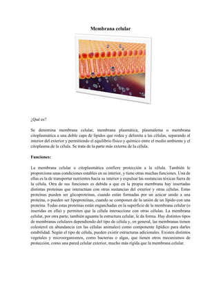 Membrana celular
¿Qué es?
Se denomina membrana celular, membrana plasmática, plasmalema o membrana
citoplasmática a una doble capa de lípidos que rodea y delimita a las células, separando al
interior del exterior y permitiendo el equilibrio físico y químico entre el medio ambiente y el
citoplasma de la célula. Se trata de la parte más externa de la célula.
Funciones:
La membrana celular o citoplasmática confiere protección a la célula. También le
proporciona unas condiciones estables en su interior, y tiene otras muchas funciones. Una de
ellas es la de transportar nutrientes hacia su interior y expulsar las sustancias tóxicas fuera de
la célula. Otra de sus funciones es debida a que en la propia membrana hay insertadas
distintas proteínas que interactúan con otras sustancias del exterior y otras células. Estas
proteínas pueden ser glicoproteínas, cuando están formadas por un azúcar unido a una
proteína, o pueden ser lipoproteínas, cuando se componen de la unión de un lípido con una
proteína. Todas estas proteínas están enganchadas en la superficie de la membrana celular (o
inseridas en ella) y permiten que la célula interaccione con otras células. La membrana
celular, por otra parte, también aguanta la estructura celular, le da forma. Hay distintos tipos
de membranas celulares dependiendo del tipo de célula y, en general, las membranas tienen
colesterol en abundancia (en las células animales) como componente lipídico para darles
estabilidad. Según el tipo de célula, pueden existir estructuras adicionales. Existen distintos
vegetales y microorganismos, como bacterias o algas, que tienen otros mecanismos de
protección, como una pared celular exterior, mucho más rígida que la membrana celular.
 