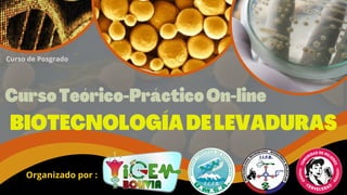 Curso Teórico-Práctico On-line
BIOTECNOLOGÍA DE LEVADURAS
Organizado por :
Curso de Posgrado
 