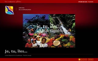 Je, tu, îles...
Direction
de la communication
Conseil Régional de la Guadeloupe / Planche concept
1 2 3 4
ÉTUDE DE CAS┃TOURISME
RETOUR
 