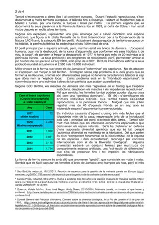 de2 4
També s’estengueren a altres illes i al continent europeu. Durant l’estació reproductora, s’han
documentat a molts territoris europeus, d’Islàndia ﬁns a Espanya, i saltant el Mediterrani cap al
Marroc i Tunísia, per una banda, o Turquia i Israel per l’altra. La primera vegada que es
documentà la seua presència a la Península Ibèrica fou el 1983, al delta de l’Ebre, i han estat
vistos després en molts altres territoris. 

Segons ens expliquen, representen una greu amenaça per a l’ànec capblanc, una espècie
autòctona que ﬁgura a la Llista Vermella de la Unió Internacional per a la Conservació de la
Natura (UICN) amb la categoria EN (en perill). Actualment desapareguda de territoris europeus on
ha habitat, la península Ibèrica ha esdevingut el seu l’últim racó de cria. 

El perill principal per a aquests animals, però, mai han estat els ànecs de Jamaica. L’ocupació
humana, quan no la destrucció, de la xarxa d’aiguamolls que conformen els seus hàbitats i, de
nou, la caça , els portaren a fregar la desaparició: el 1977 hi havia poc més de 20 individus a la3
península Ibèrica. La seua protecció i els programes de recuperació, però, permeteren arribar al
pic històric de recuperació a l’any 2000, amb prop de 4.500 . BirdLife International estimà la seua4
població mundial actual entre el 2.500 i els 10.000 individus . 
5
Millor encara és la forma que tenen els de Jamaica d’”exterminar” els capblancs. No els ataquen
ni s’apropien del menjar o del territori. S’integren sense cap problema al si dels grups que es
formen a les llacunes, i només són diferenciables perquè no tenen la característica blancor al cap
que dóna nom a l’espècie local. L’únic problema està en la “hibridació espontània”: la
convivència entre uns individus i altres és tan perfecta que acaben aparellant-se. 

Segons SEO Birdlife, els mascles de Jamaica són més “agressius en el festeig que l’espècie
autòctona, desplacen els mascles i els impedeixen reproduir-se”.
Pel que sembla, les femelles també podrien aportar alguna cosa
així com una “genètica dominant”. El 1991 s’identiﬁcaren els
primers individus híbrids, que també tenen capacitat
reproductora, a la península Ibèrica. Malgrat que mai s’han
registrat més de 40 d’aquests híbrids en un any, això és
intolerable segons l’argumentari conservacionista. 

Els individus causants d’aquest cruising són més febles que el
totpoderós món de la caça, responsable únic de la introducció
dels uns i principal del perill d’extinció dels altres. També són
molt més febles que els interessos econòmics especulatius que
destrueixen els espais naturals. Se’ls ha d’eliminar en defensa
d’una suposada diversitat genètica que no és tal, perquè
l’autèntica diversitat es manifesta en la hibridació. Del que parlen
és d’un “component fonamental de la biodiversitat, de la riquesa
de les espècies i dels ecosistemes”, reconegut per convenis
internacionals com el de la Diversitat Biològica . Aquesta6
diversitat esdevé un conjunt format per multituds de
compartiments estancs artiﬁcials, una “col·lecció de diferències”
que s’ha de preservar ﬁns i tot impedint les hibridacions
espontànies. 

La forma de fer-ho sempre és amb allò que anomenen “gestió”, que consisteix en matar i matar.
Sembla que és fàcil capturar les femelles d’ànec de Jamaica amb trampes als nius, però el més
Seo BirdLife, redacció, 17/12/2015, Reunión de expertos para la gestión de la malvasía canela en Europa, http://3
www.seo.org/2015/12/17/reunion-de-expertos-para-la-gestion-de-la-malvasia-canela-en-europa/
Europa Press, redacció, 04/04/2015, Vuelve a avistarse tras tres años a la especie invasora de malvasía canela, http://4
www.europapress.es/andalucia/noticia-vuelve-avistarse-tres-anos-especie-invasora-malvasia-
canela-20150404114343.html
Quercus, Violeta Muñoz, Juan José Negro, Andy Green, 22/10/2014, Malvasía canela, un invasor al que temer y5
contener, http://www.revistaquercus.es/noticia/2380/articulos-de-fondo/malvasia-canela-un-invasor-al-que-temer-y-
contener.html
Consell General del Principat d’Andorra, Conveni sobre la diversitat biològica, fet a Rio de Janeiro el 5 de juny del6
1992, http://www.consellgeneral.ad/ca/arxiu/arxiu-de-lleis-i-textos-aprovats-en-legislatures-anteriors/vi-
legislatura-2011-2015/copy_of_tractats-i-acords-internacionals-aprovats/conveni-sobre-la-diversitat-biologica-fet-a-
rio-de-janeiro-el-5-de-juny-del-1992
Cens d’ànecs capblancs
(Oxyura leucocephala)
a l’estat espanyol
Any Cens
1977
Mínim històric
22
2000
Màxima recuperació
4.486
2011 1.960
2012 2.081
2013 2.175
2014 1.724
 