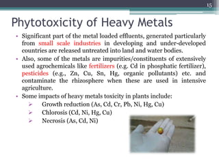 Phytotoxicity of Heavy Metals
• Significant part of the metal loaded effluents, generated particularly
from small scale industries in developing and under-developed
countries are released untreated into land and water bodies.
• Also, some of the metals are impurities/constituents of extensively
used agrochemicals like fertilizers (e.g. Cd in phosphatic fertilizer),
pesticides (e.g., Zn, Cu, Sn, Hg, organic pollutants) etc. and
contaminate the rhizosphere when these are used in intensive
agriculture.
• Some impacts of heavy metals toxicity in plants include:
 Growth reduction (As, Cd, Cr, Pb, Ni, Hg, Cu)
 Chlorosis (Cd, Ni, Hg, Cu)
 Necrosis (As, Cd, Ni)
15
 