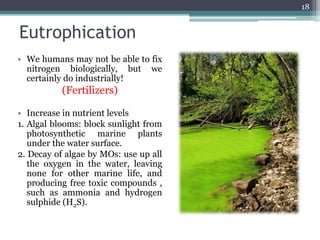 Eutrophication
• We humans may not be able to fix
nitrogen biologically, but we
certainly do industrially!
(Fertilizers)
• Increase in nutrient levels
1. Algal blooms: block sunlight from
photosynthetic marine plants
under the water surface.
2. Decay of algae by MOs: use up all
the oxygen in the water, leaving
none for other marine life, and
producing free toxic compounds ,
such as ammonia and hydrogen
sulphide (H2S).
18
 