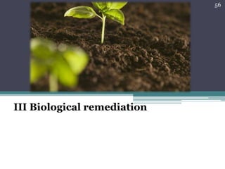 III Biological remediation
56
 