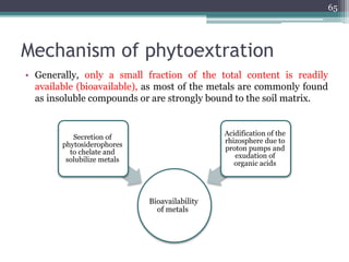 Mechanism of phytoextration
• Generally, only a small fraction of the total content is readily
available (bioavailable), as most of the metals are commonly found
as insoluble compounds or are strongly bound to the soil matrix.
65
Bioavailability
of metals
Secretion of
phytosiderophores
to chelate and
solubilize metals
Acidification of the
rhizosphere due to
proton pumps and
exudation of
organic acids
 