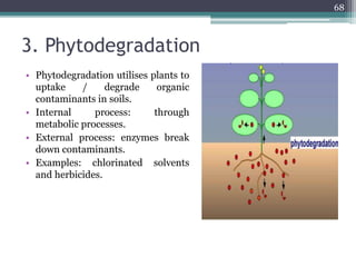 3. Phytodegradation
• Phytodegradation utilises plants to
uptake / degrade organic
contaminants in soils.
• Internal process: through
metabolic processes.
• External process: enzymes break
down contaminants.
• Examples: chlorinated solvents
and herbicides.
68
 