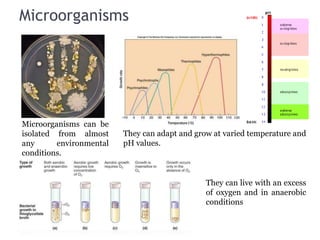 Microorganisms
77
Microorganisms can be
isolated from almost
any environmental
conditions.
They can adapt and grow at varied temperature and
pH values.
They can live with an excess
of oxygen and in anaerobic
conditions
 