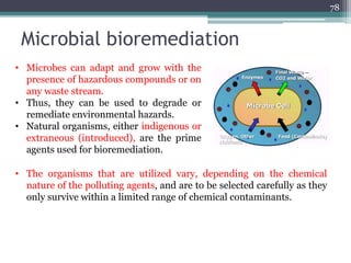 Microbial bioremediation
78
• Microbes can adapt and grow with the
presence of hazardous compounds or on
any waste stream.
• Thus, they can be used to degrade or
remediate environmental hazards.
• Natural organisms, either indigenous or
extraneous (introduced), are the prime
agents used for bioremediation.
• The organisms that are utilized vary, depending on the chemical
nature of the polluting agents, and are to be selected carefully as they
only survive within a limited range of chemical contaminants.
 