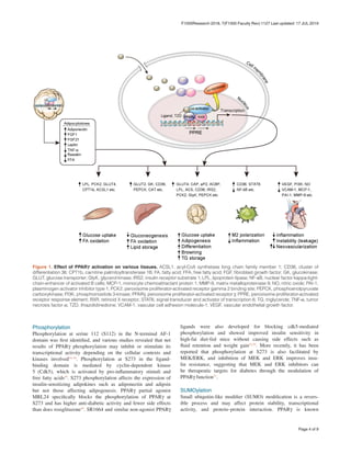 Soal dan Pembahasan Farmakologi Molekular - PPAR dan Reseptor Estrogen ...