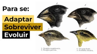 Para se:
Adaptar.
Sobreviver.
Evoluir.
 