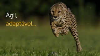 Ágil,
adaptável…
 