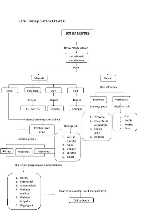 Buku Sistem  Ekskresi  Manusi dan  Hewan 