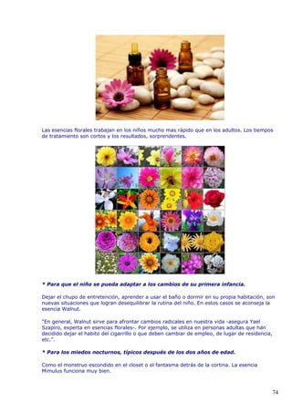 Las esencias florales trabajan en los niños mucho mas rápido que en los adultos. Los tiempos
de tratamiento son cortos y los resultados, sorprendentes.
* Para que el niño se pueda adaptar a los cambios de su primera infancia.
Dejar el chupo de entretención, aprender a usar el baño o dormir en su propia habitación, son
nuevas situaciones que logran desequilibrar la rutina del niño. En estos casos se aconseja la
esencia Walnut.
"En general, Walnut sirve para afrontar cambios radicales en nuestra vida -asegura Yael
Szapiro, experta en esencias florales-. Por ejemplo, se utiliza en personas adultas que han
decidido dejar el habito del cigarrillo o que deben cambiar de empleo, de lugar de residencia,
etc.".
* Para los miedos nocturnos, típicos después de los dos años de edad.
Como el monstruo escondido en el closet o el fantasma detrás de la cortina. La esencia
Mimulus funciona muy bien.
74
 