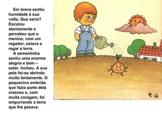 Em breve sentiu humidade à sua volta. Que seria? Escutou atentamente e percebeu que o menino, com um regador, estava a regar a terra. A sementinha sentiu uma enorme alegria e bem – estar. Inchou. A sua pele foi-se abrindo muito lentamente. O pequenino embrião que fazia parte dela cresceu e, com muita coragem, foi empurrando a terra que lhe pesava. 