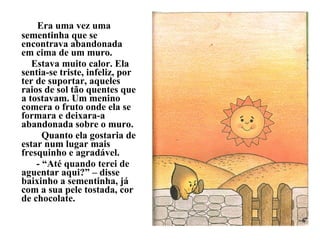   Era uma vez uma sementinha que se encontrava abandonada em cima de um muro.   Estava muito calor. Ela sentia-se triste, infeliz, por ter de suportar, aqueles raios de sol tão quentes que a tostavam. Um menino comera o fruto onde ela se formara e deixara-a abandonada sobre o muro. Quanto ela gostaria de estar num lugar mais fresquinho e agradável. - “Até quando terei de aguentar aqui?” – disse baixinho a sementinha, já com a sua pele tostada, cor de chocolate. 