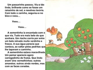 Um passarinho passou. Viu-a tão linda, brilhante como se fosse um raiozinho de sol, e resolveu levá-la. Com todo o carinho, segurou-a no bico e voou… Voou…   Voou… A sementinha ia encantada com o que via. Tudo era mais belo do que sonhara. Um riacho corria por entre um belo relvado muito verdinho e fresco. A sua água parecia que cantava, ao saltar pelas pedritas que lhe tapavam o caminho.  A sementinha estava maravilhada. Um pomar aparecia agora carregadinho de frutos. Que lindo eram! Uns vermelhinhos; outros amarelos; outros ainda verdes, mas com as faces coradas. 
