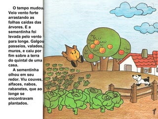 O tempo mudou. Veio vento forte arrastando as folhas caídas das árvores. E a sementinha foi levada pelo vento para longe. Galgou passeios, valados, muros, e caiu por fim sobre a terra do quintal de uma casa. A sementinha olhou em seu redor. Viu couves, alfaces, nabos, rabanetes, que ao longe se encontravam plantados. 