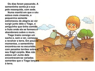 Os dias foram passando. A sementinha sentia já a sua pele ressequida, com sede. Numa manhã em que o céu estava mais cinzento, a pequenina semente estremeceu de alegria ao ver surgir junto dela o Tiago, o amiguinho que tinha comido o fruto onde ela se formara e abandonara sobre o muro. Tiago trazia consigo um sacho e, sem a ver, começou a revolver a terra. Em poucos momentos, a sementinha encontrou-se na escuridão, com pesados torrões sobre o seu frágil corpito. Mas não estava só! Junto dela encontravam-se variadas sementes que o Tiago lançara à terra. 