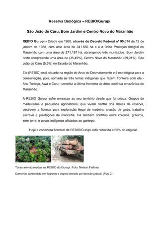 Reserva Biológica – REBIO/Gurupi
São João do Caru, Bom Jardim e Centro Novo do Maranhão
REBIO Gurupi - Criada em 1988, através do Decreto Federal nº 95.614 de 12 de
janeiro de 1988, com uma área de 341.650 ha e é a única Proteção Integral do
Maranhão com uma área de 271.197 há, abrangendo três municípios: Bom Jardim
onde compreende uma área de (35,49%), Centro Novo do Maranhão (59,01%), São
João do Caru (5,5%) no Estado do Maranhão.
Ela (REBIO) está situada na região do Arco do Desmatamento e é estratégica para a
conservação, pois, somada às três terras indígenas que fazem fronteira com ela -
Alto Turiaçu, Awá e Caru - constitui a última fronteira de área contínua amazônica do
Maranhão.
A REBIO Gurupi sofre ameaças ao seu território desde que foi criada. Grupos de
madeireiros e pequenos agricultores, que vivem dentro dos limites da reserva,
destroem a floresta para exploração ilegal de madeira, criação de gado, trabalho
escravo e plantações de maconha. Há também conflitos entre colonos, grileiros,
sem-terra, e povos indígenas aliciados ao garimpo.
Hoje a cobertura florestal da REBIO/Gurupi está reduzida a 65% do original.
Toras arrmazenadas na REBIO do Gurupi. Foto: Nelson Feitosa.
Caminhão apreendido em flagrante e depois liberado por decisão judicial. (Foto 2)
 