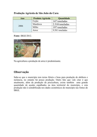 Produção Agrícola de São João do Caru
Ano Produto Agrícola Quantidade
2006
Feijão 147 toneladas
Mandioca 2.510 toneladas
Milho 197 toneladas
Arroz 9.581 toneladas
Fonte: IBGE/2012.
Na agricultura a produção de arroz é predominante.
Observação
Sabe-se que o município tem terras férteis e boas para produção de abóbora e
melancia, no entanto há pouca produção. Outro fato que vale citar é que
atualmente, além da produção da piscicultura, existe também uma grande
quantidade de açudes espalhados na área territorial do município, e esta
produção não é contabilizada nos dados econômicos do município nas fontes do
IBGE.
 