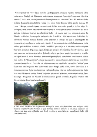 - Vou te contar um pouco dessa história. Desde pequeno, sou desta região e o meu avô sabia
muito sobre Pindaré; ele falava que na época que situaram o Engenho Central, por volta dos
séculos XVIII a XIX, muita gente subiu às margens do rio Pindaré e Caru. Lá onde você viu
o aterro da casa foi uma feitoria e onde você viu o forno de assar telha, existiu mais de 40
casas. Só que naquela época, o número de índios era muito grande e todos, além de
selvagens, eram brabos e houve um conflito entre os índios (defendendo suas terras) e o povo
que não resistiram, tiveram que abandonar tudo. A cacaria que você viu era do dono da
feitoria. A história do seringal e seringueira foi dramática. Um homem rico de Pindaré de
influência política mandou homens para explorar o seringal só que o encarregado da
exploração era um homem muito mal e astuto. O mesmo contratava trabalhadores que tinha
mulher para trabalhar e armava cilada. Convidava para caçar e lá no mato, matava-os para
ficar com a mulher. Depois de algum tempo, ele chegava procurando pelo outro dizendo que
num momento haviam se apartado e dizia não saber o que havia acontecido, se estava perdido
ou algum bicho o havia devorado. Simulando preocupação e chorando, convidava os outros
para ir atrás do “desaparecido”, só que ia para outros lados diferentes, de forma que o mistério
permanecia encoberto. Certo dia, ele saiu com mais um trabalhador, ou melhor “vítima” para
fazer mais uma tragédia. Mas como tudo tem o tempo certo e fim, houve um vacilo e o
homem escapou e fugiu imediatamente e chegando onde estava a mulher, rapidamente fugiu
pela mata. Depois de muitos dias de viagens e sofrimento pela mata, quase morreram de fome
e doença. Chegaram em Pindaré e denunciaram o que ali acontecia. Segundo o velho, este
foi o problema do seringal abandonado”.
A foto acima é o Rio Caru no povoado Siringal/ o outro lado desse rio é área indígena onde
morava o senhor Carlos Gomes, o qual morreu entre os anos 65 a 70, onde segundos os
relatos, sua casa era edificada num local próximo a uma feitoria. Atualmente tudo está
coberto de mata.
 