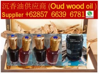 Supplier +62857 6639 6781
沉香油供应商 (Oud wood oil )
 