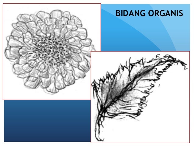 80 Gambar Bentuk Dan Bidang HD 80 Gambar Bentuk Dan Bidang HD