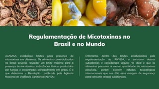 Regulamentação de Micotoxinas no
Brasil e no Mundo
AANVISA estabelece limites para presença de
micotoxinas em alimentos. O...
