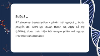 [Pdf] _ Nested PCR.pdf