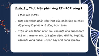 [Pdf] _ Nested PCR.pdf