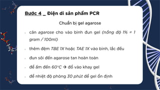 [Pdf] _ Nested PCR.pdf