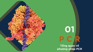 [Pdf] _ Nested PCR.pdf