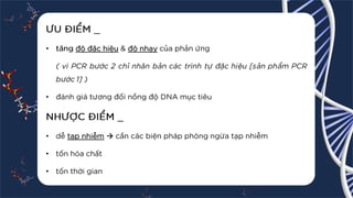 [Pdf] _ Nested PCR.pdf