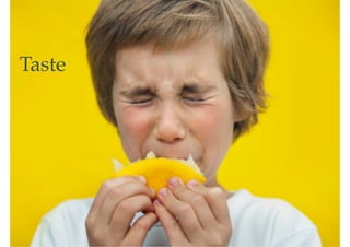 LoriBoll.me | @LoriBoll
Taste picture
–Johnny Appleseed
Taste
 