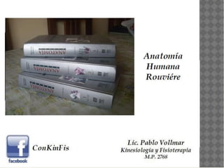 Anatomía de la Cadera